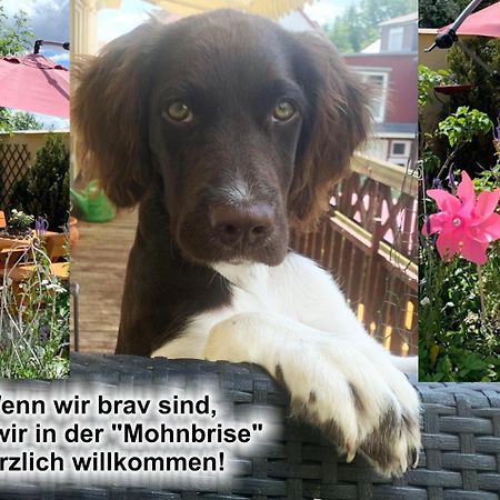 Ferienwohnung Mohnbrise Germerode Kültér fotó